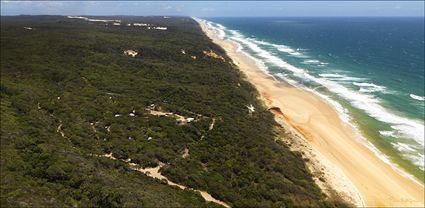 Fraser Island - QLD T (PBH4 00 16242)